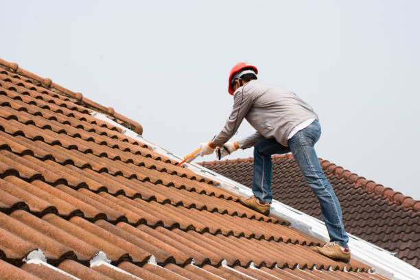 Best Roof Maintenance and Cleaning  in Bridgetown, OH